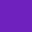 Purple-Tortoise