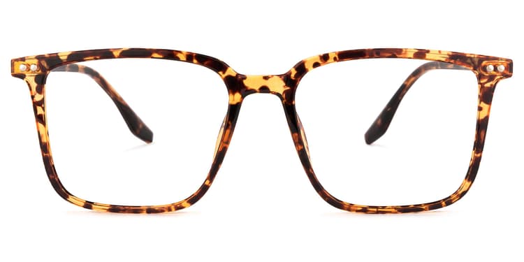 Tobias Square Tortoise Glasses