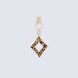 Stylish Leopard Print Earrings2