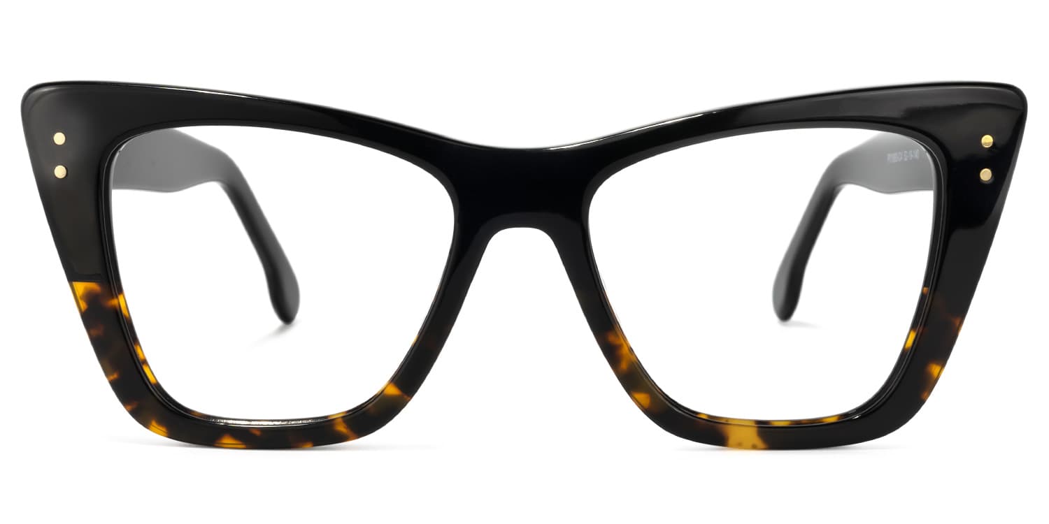 Kovacina glasses 2
