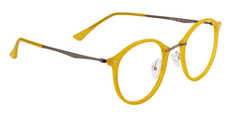 Ivy Round Yellow Glasses5