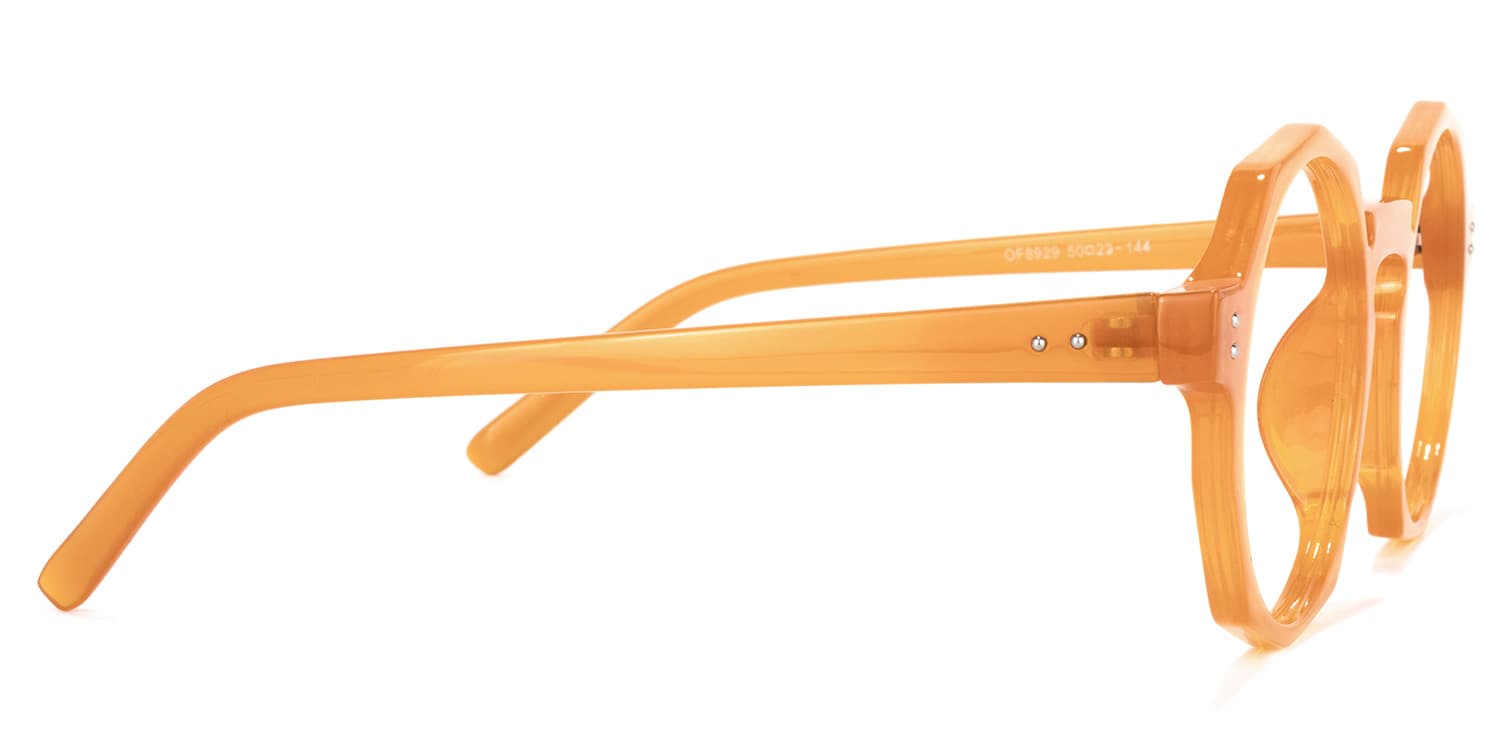 Buy Goodwin Optical Glasses and EyeWear Frames on Zeelool3